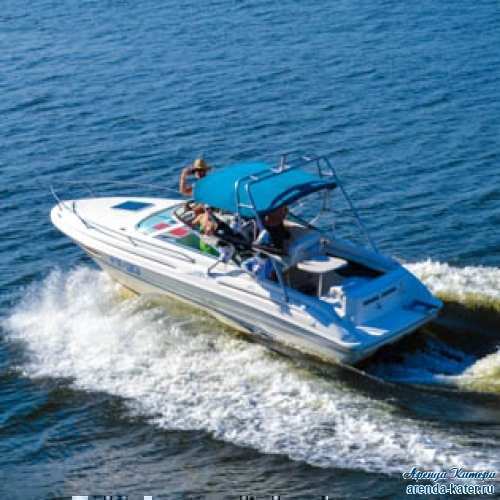 Аренда катера SeaRay в морпорт Сочи